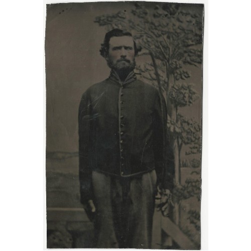 Union federal cavalry enlisted man portrait - tintype full plate