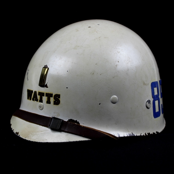 M1 Helmet liner - 10th Infantry Division
