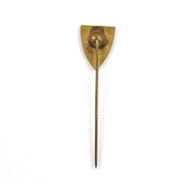 NS-RKB member's stickpin