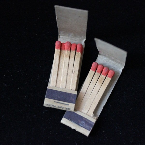 2 match books Mosquito bites cause Malaria