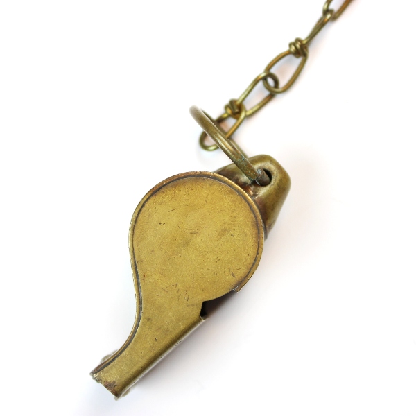 US Army regulation solid brass whistle w/ chain